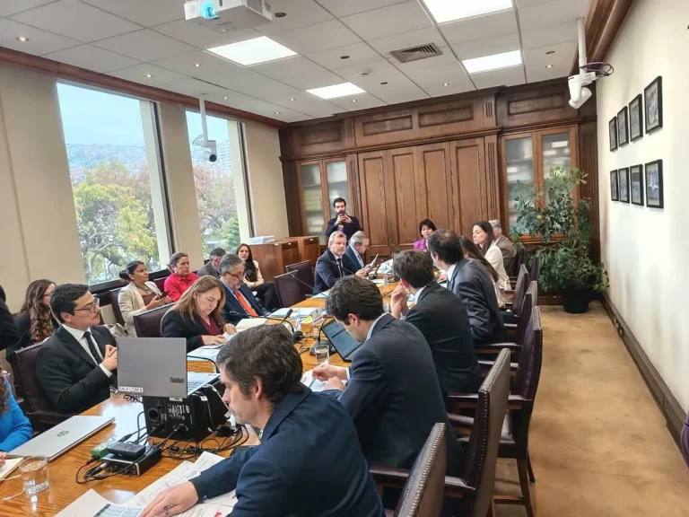 Reunión de dirigentas de FENAMA con autoridades